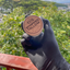 OceanCream | 100% Grass-Fed Beef Tallow